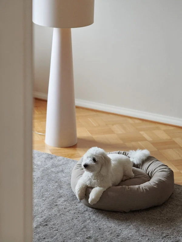 Berlin Pet Yatağı